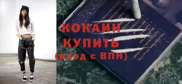 Альфа ПВП Инта
