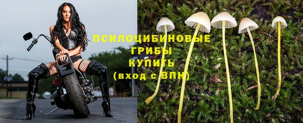 ГАЛЛЮЦИНОГЕННЫЕ ГРИБЫ Зеленокумск