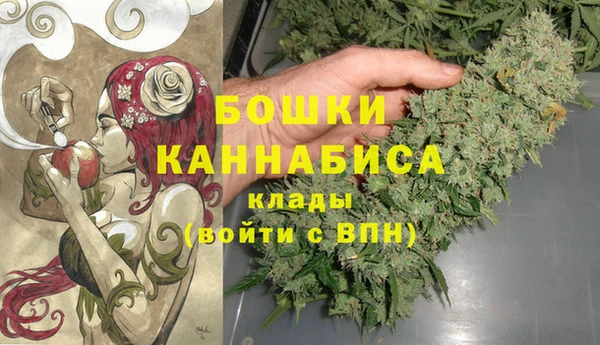 ГАЛЛЮЦИНОГЕННЫЕ ГРИБЫ Зеленокумск